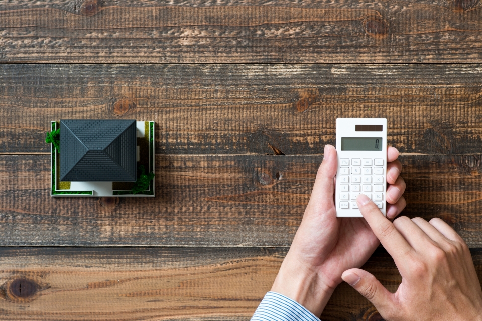 南国市元町一丁目における土地購入のメリットとデメリット