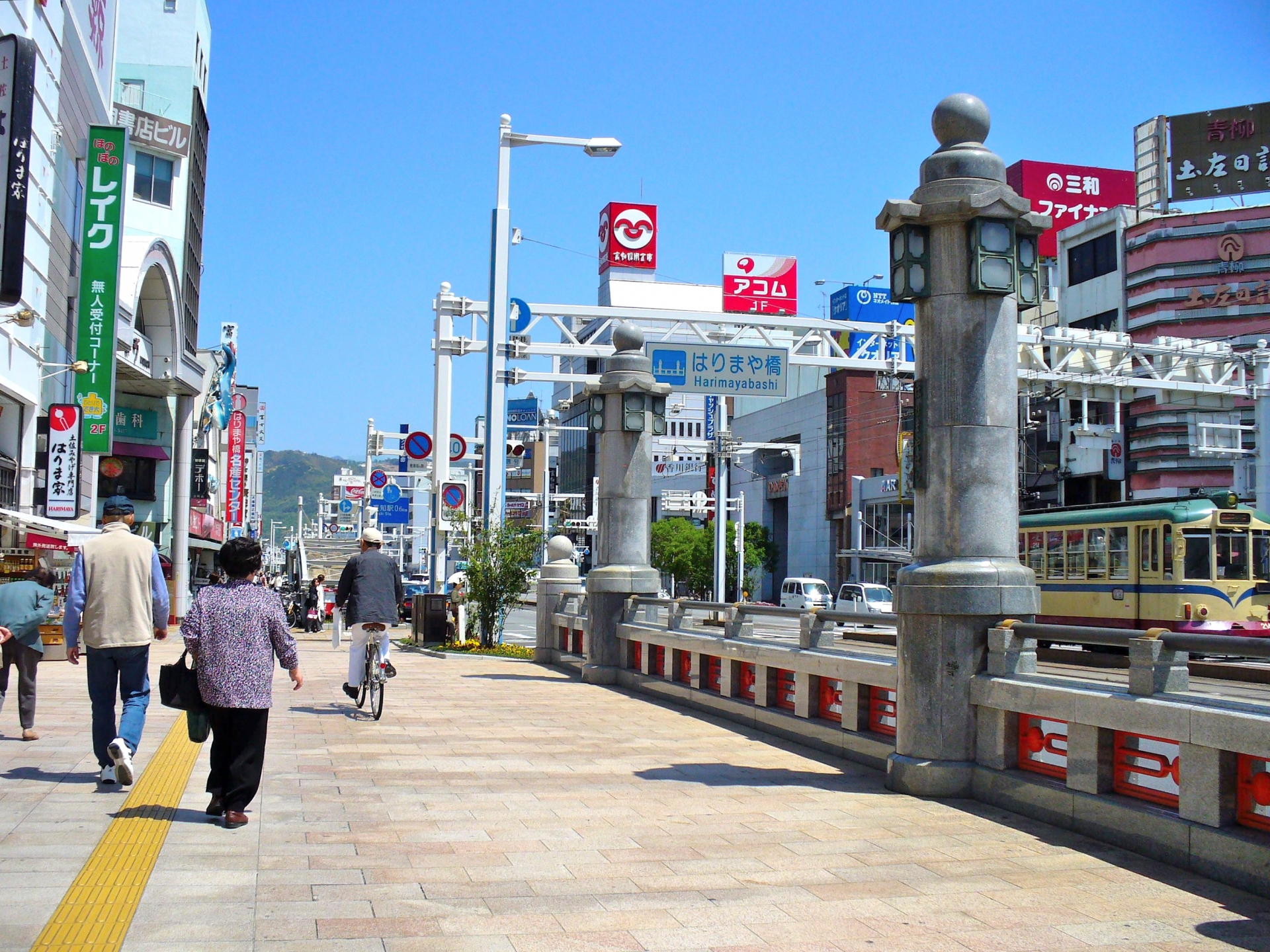 高岡郡越知町大平のメイン画像