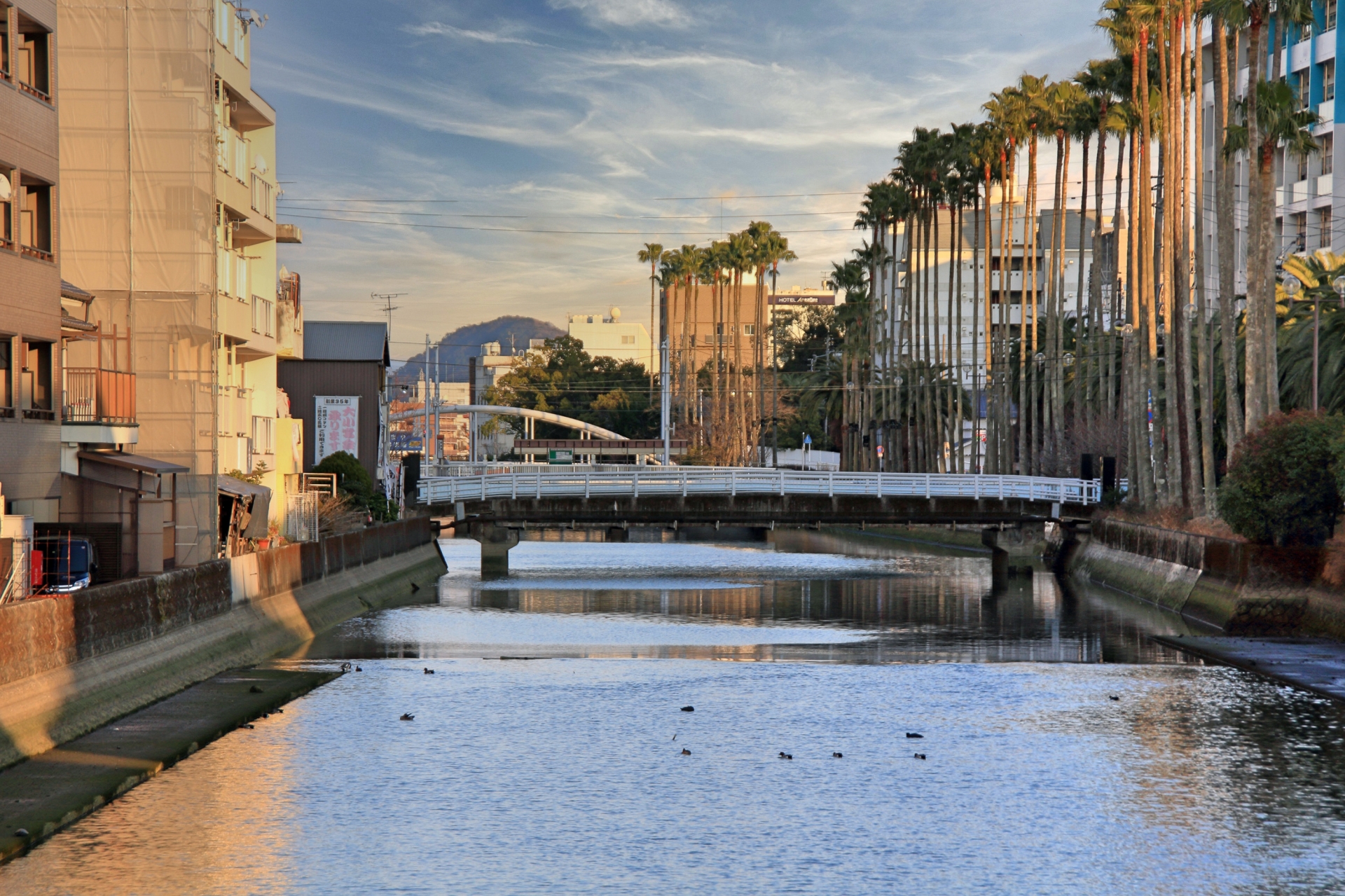 高知市一ツ橋町一丁目のメイン画像