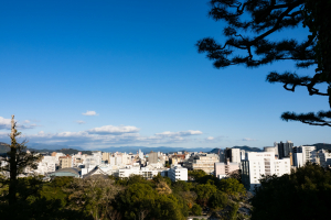 香南市野市町東佐古の土地と生活お役立ち情報