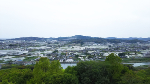 安芸市安芸ノ川乙の土地最新販売事例と生活お役立ち情報