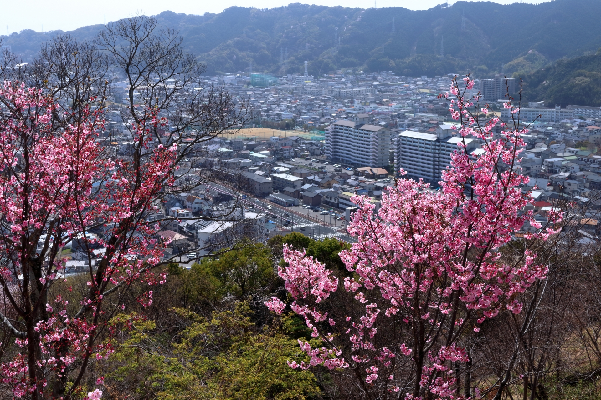 香美市物部町久保堂ノ岡のメイン画像