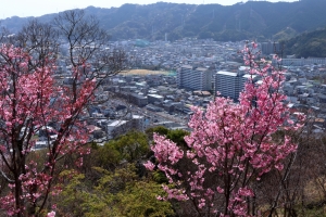 香美市土佐山田町佐竹の土地情報と快適タウン情報